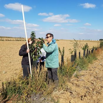 Suivi de la croissance des arbres