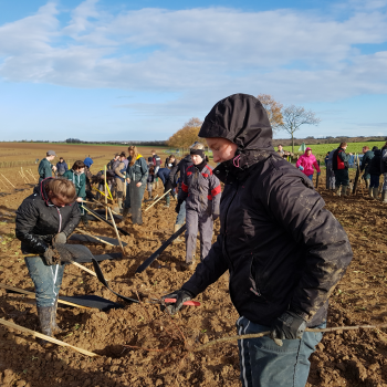 Plantation des arbres avec les étudiants (Nov 2018)