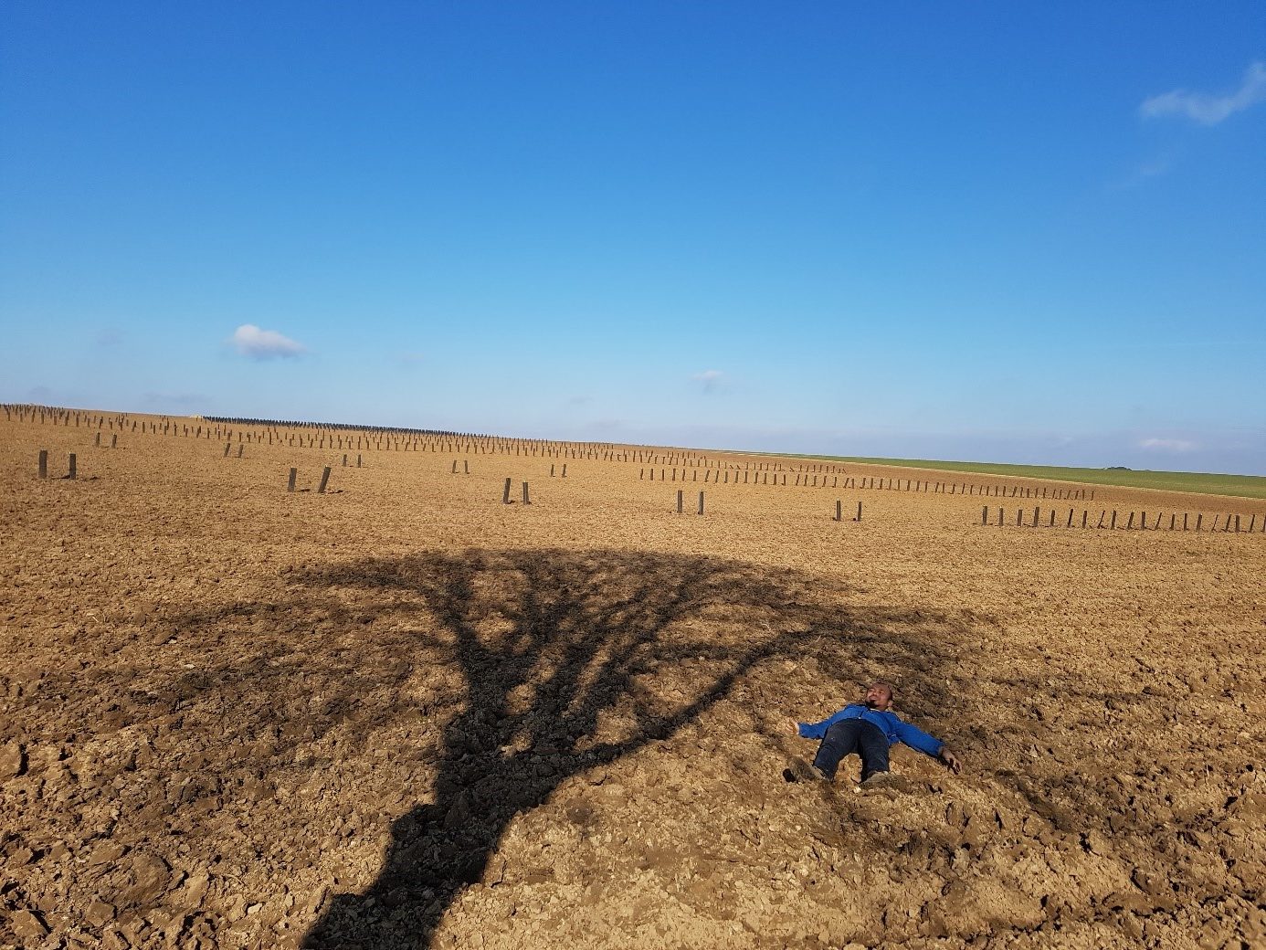 Suivi de l'ombrage des arbres