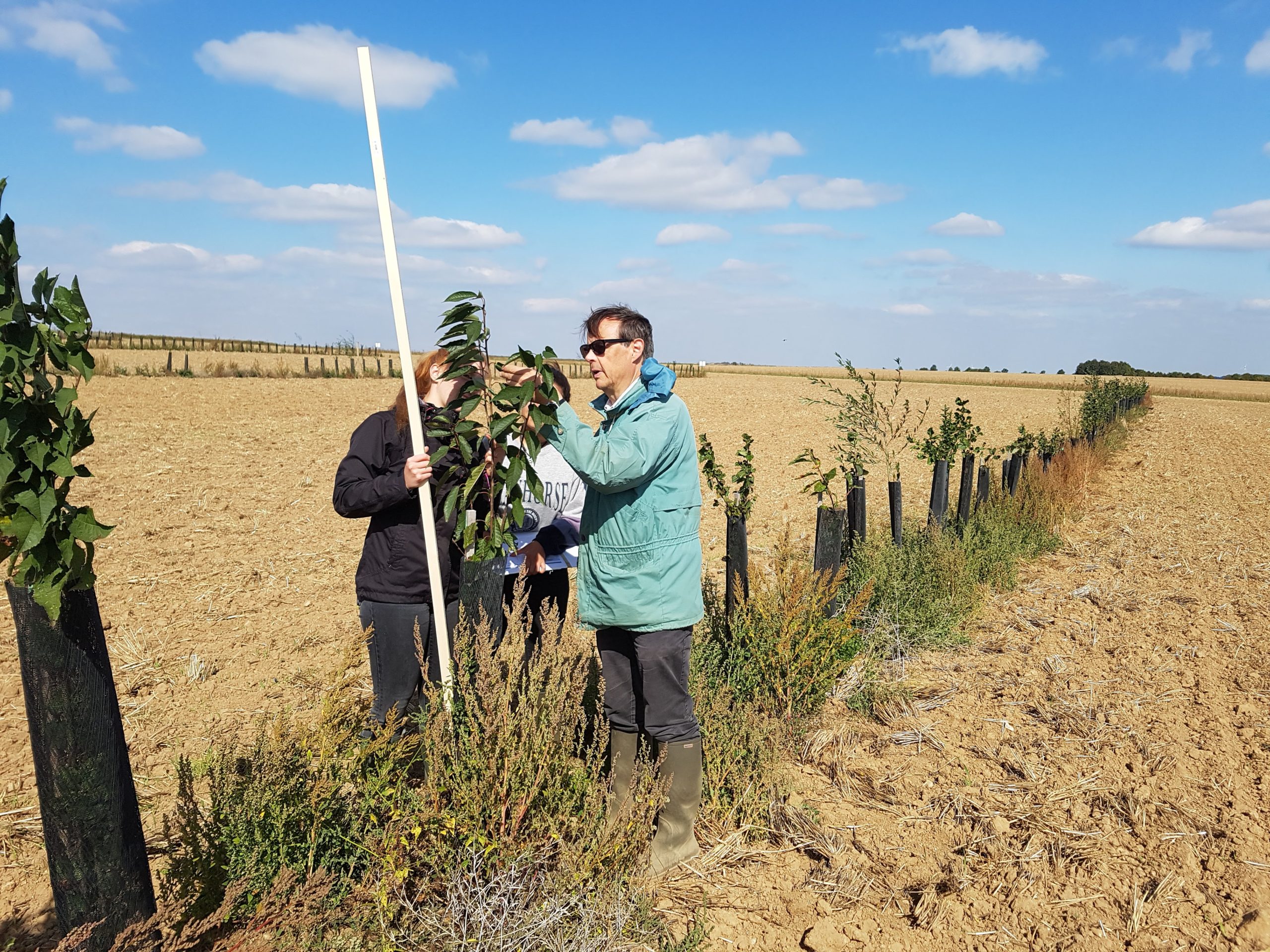 Suivi de la croissance des arbres