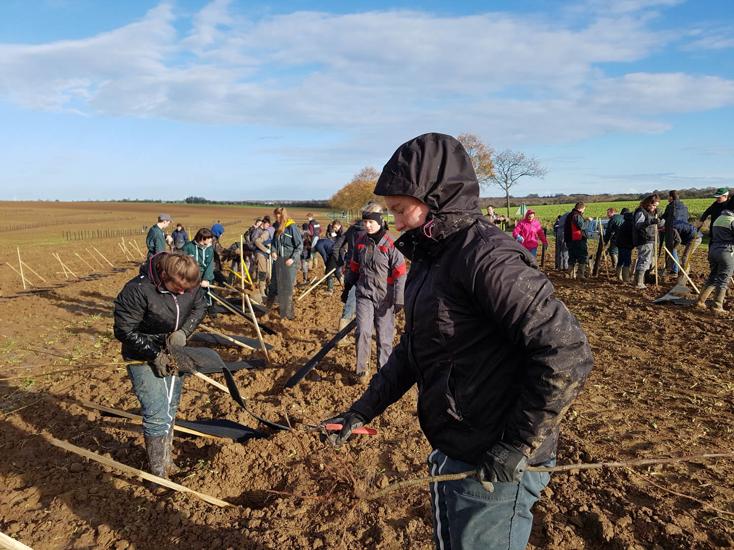 Plantation des arbres avec les étudiants (Nov 2018)